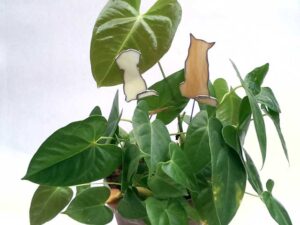 Herdershond en Jack Russell Honden, Jack Russell en Herdershond, Tiffany Techniek